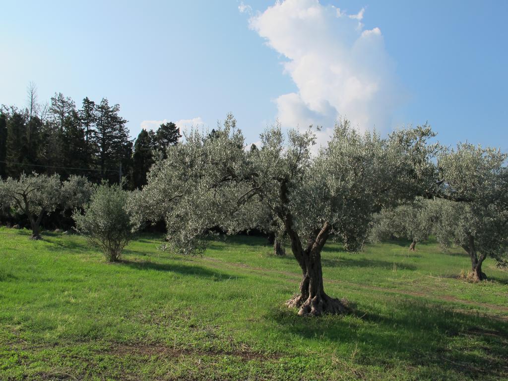 Holiday Home Stella Di Sicilia Acquedolci Luaran gambar