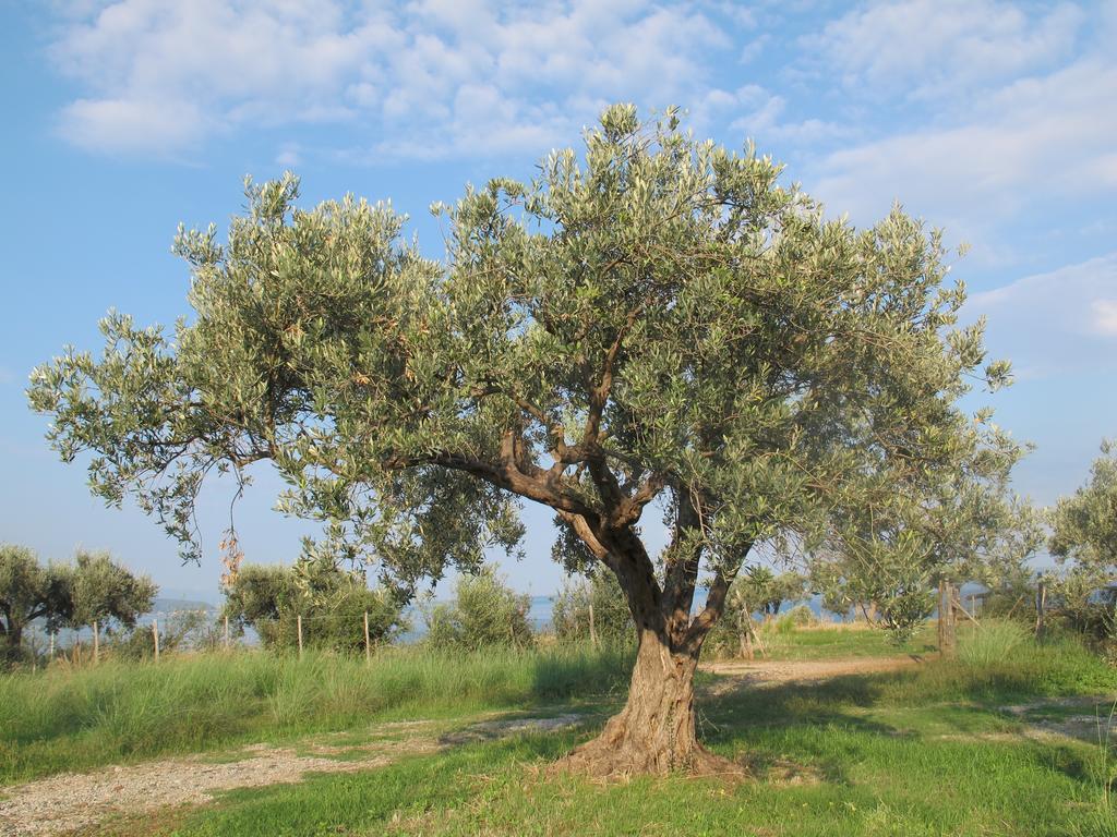 Holiday Home Stella Di Sicilia Acquedolci Luaran gambar